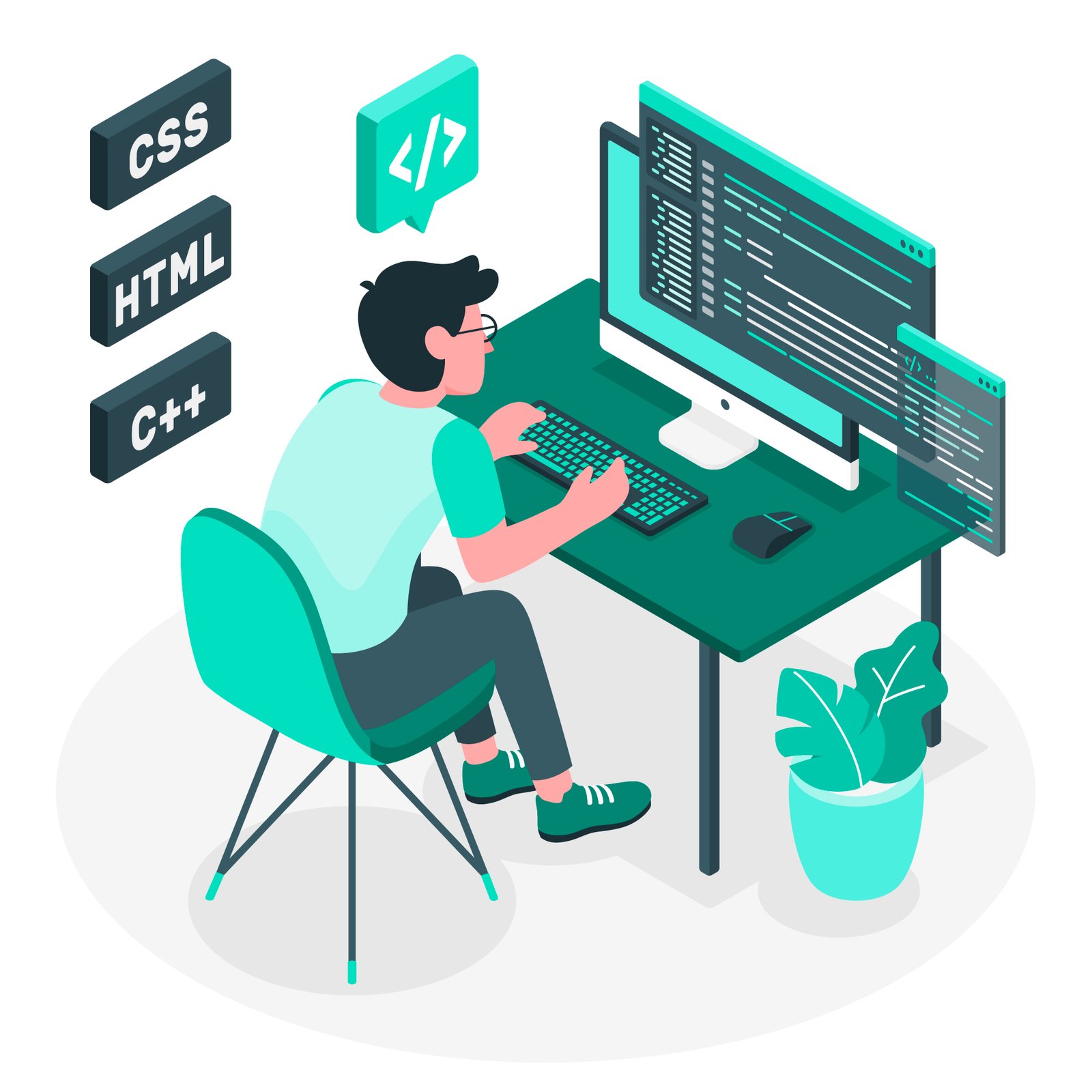 programming languages