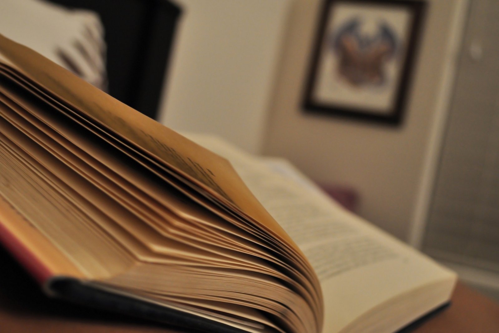 Book Writing Company