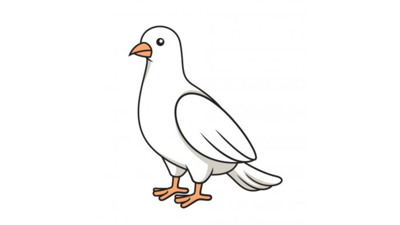 Draw A Dove