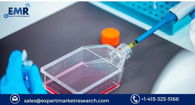  Serum Free Media Market