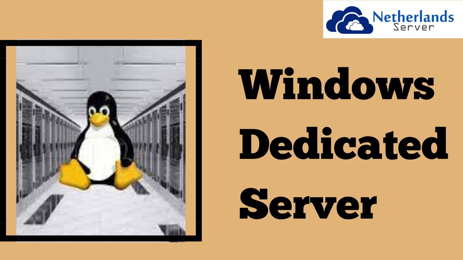 Windows Dedicated Server